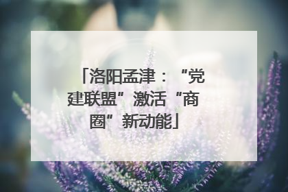 洛阳孟津：“党建联盟”激活“商圈”新动能