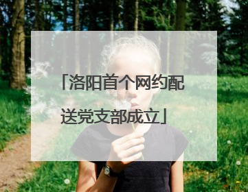 洛阳首个网约配送党支部成立