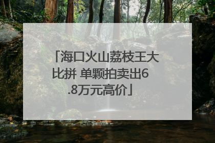 海口火山荔枝王大比拼 单颗拍卖出6.8万元高价