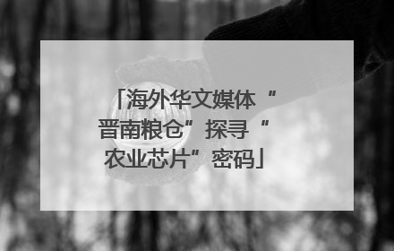 海外华文媒体“晋南粮仓”探寻“农业芯片”密码
