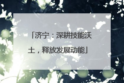济宁：深耕技能沃土，释放发展动能