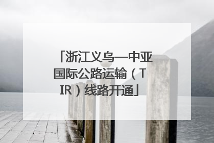 浙江义乌—中亚国际公路运输（TIR）线路开通