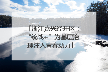 浙江嘉兴经开区：“统战+”为基层治理注入青春动力