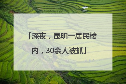 深夜，昆明一居民楼内，30余人被抓