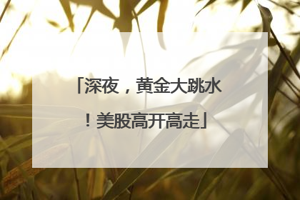 深夜，黄金大跳水！美股高开高走