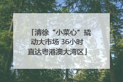 清徐“小菜心”撬动大市场 36小时直达粤港澳大湾区