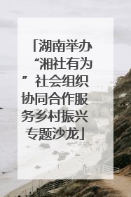 湖南举办“湘社有为”社会组织协同合作服务乡村振兴专题沙龙