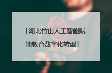 湖北竹山人工智能赋能教育数字化转型