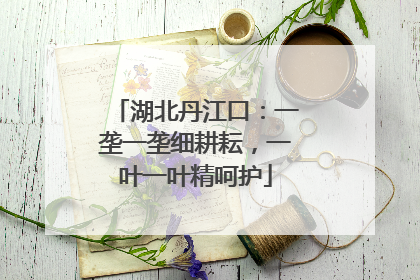 湖北丹江口：一垄一垄细耕耘，一叶一叶精呵护