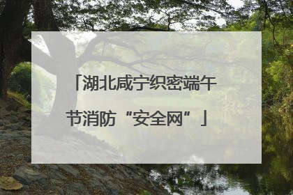 湖北咸宁织密端午节消防“安全网”