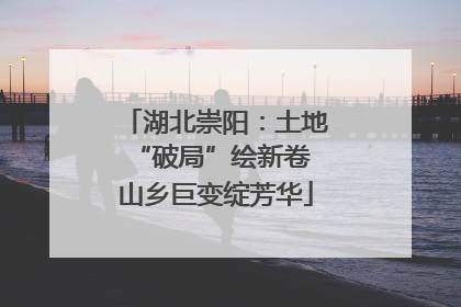 湖北崇阳：土地“破局”绘新卷 山乡巨变绽芳华