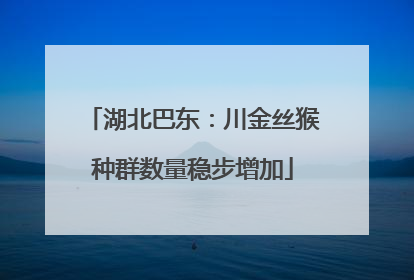 湖北巴东：川金丝猴种群数量稳步增加