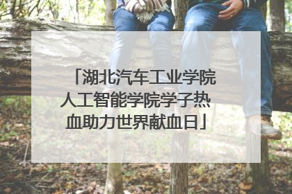 湖北汽车工业学院人工智能学院学子热血助力世界献血日