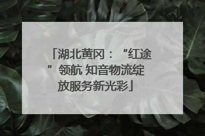 湖北黄冈：“红途”领航 知音物流绽放服务新光彩