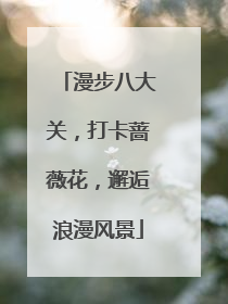 漫步八大关，打卡蔷薇花，邂逅浪漫风景