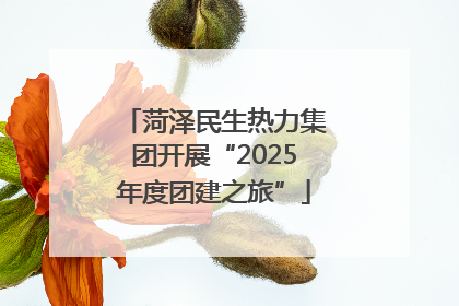 菏泽民生热力集团开展“2025年度团建之旅”