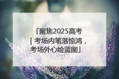 聚焦2025高考｜考场内笔落惊鸿，考场外心绘蓝图