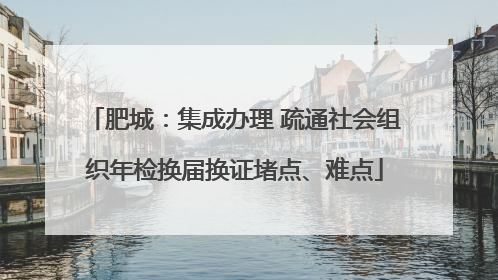 肥城：集成办理 疏通社会组织年检换届换证堵点、难点