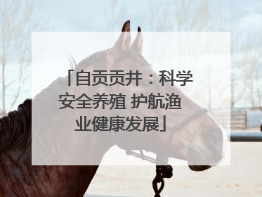 自贡贡井：科学安全养殖 护航渔业健康发展