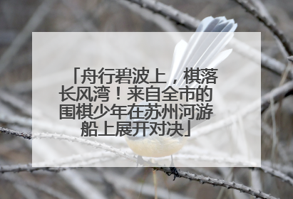 舟行碧波上，棋落长风湾！来自全市的围棋少年在苏州河游船上展开对决