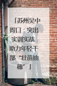 苏州吴中胥口：突出实训实战 助力年轻干部“壮苗抽穗”