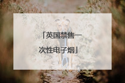 英国禁售一次性电子烟