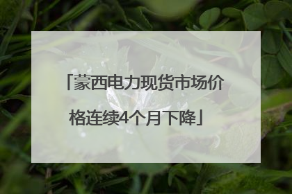 蒙西电力现货市场价格连续4个月下降