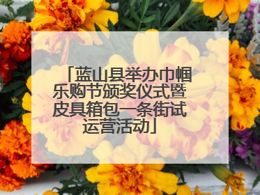 蓝山县举办巾帼乐购节颁奖仪式暨皮具箱包一条街试运营活动