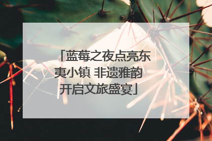 蓝莓之夜点亮东夷小镇 非遗雅韵开启文旅盛宴