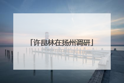 许昆林在扬州调研