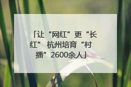让“网红”更“长红” 杭州培育“村播”2600余人