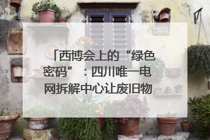 西博会上的“绿色密码”：四川唯一电网拆解中心让废旧物资“重生”｜西博寻“新”记