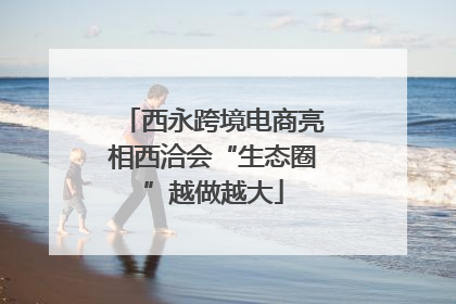 西永跨境电商亮相西洽会“生态圈”越做越大
