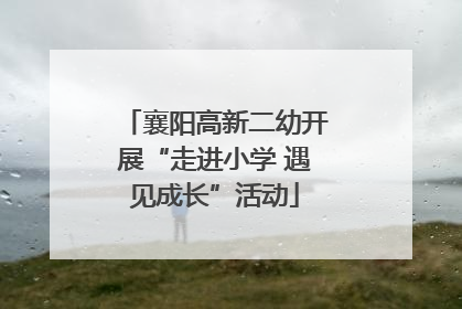 襄阳高新二幼开展“走进小学 遇见成长”活动