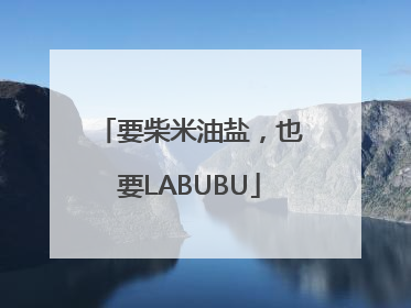 要柴米油盐，也要LABUBU
