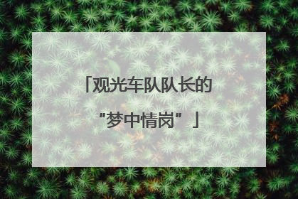 观光车队队长的“梦中情岗”