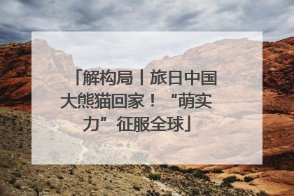 解构局丨旅日中国大熊猫回家！“萌实力”征服全球