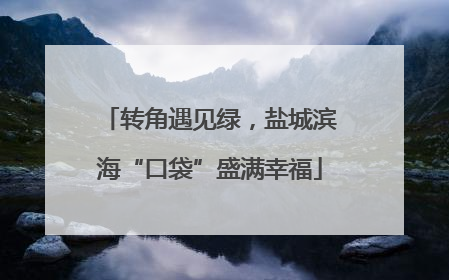 转角遇见绿，盐城滨海“口袋”盛满幸福