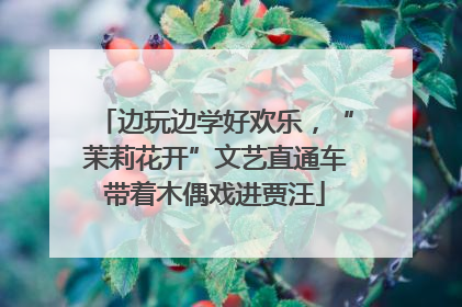 边玩边学好欢乐，“茉莉花开”文艺直通车带着木偶戏进贾汪