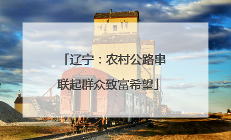 辽宁：农村公路串联起群众致富希望