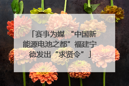 赛事为媒 “中国新能源电池之都”福建宁德发出“求贤令”