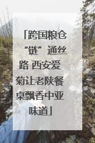 跨国粮仓“链”通丝路 西安爱菊让老陕餐桌飘香中亚味道