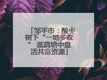 邹平市：酸枣树下“一地多收” 莲藕塘中盘活共富资源