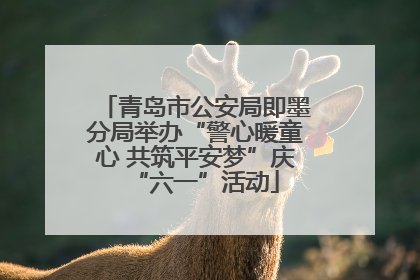 青岛市公安局即墨分局举办“警心暖童心 共筑平安梦”庆“六一”活动