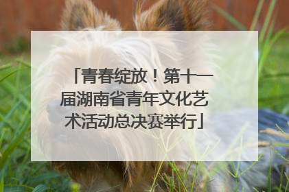 青春绽放！第十一届湖南省青年文化艺术活动总决赛举行