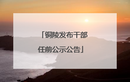 铜陵发布干部任前公示公告