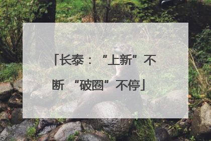 长泰：“上新”不断 “破圈”不停
