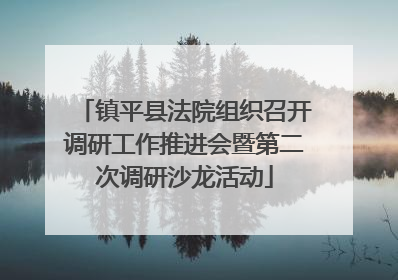 镇平县法院组织召开调研工作推进会暨第二次调研沙龙活动