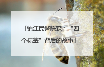 镇江民警陈森：“四个标签”背后的故事