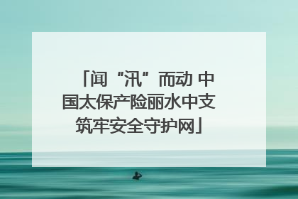 闻“汛”而动 中国太保产险丽水中支筑牢安全守护网